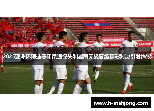 2025亚洲杯预选赛印尼遗憾失利越南无缘晋级精彩对决引发热议