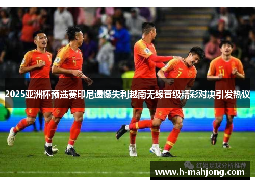 2025亚洲杯预选赛印尼遗憾失利越南无缘晋级精彩对决引发热议